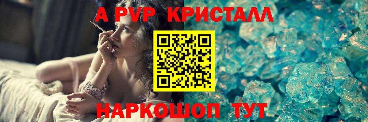 Альфа ПВП СК Сосновый Бор
