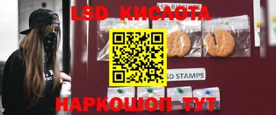 мдма Новодвинск