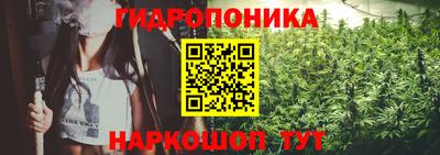 мдма Новодвинск