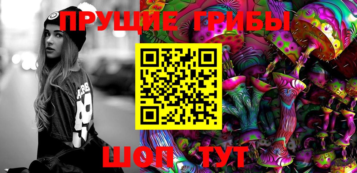Галлюциногенные грибы GOLDEN TEACHER Сосновый Бор