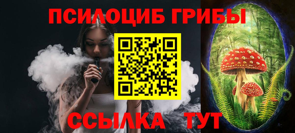 Псилоцибиновые грибы прущие грибы  Псилоцибиновые грибы ЛСД  Сосновый Бор  Вход с VPN 